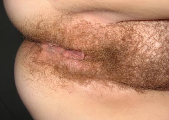 Hairy Tan Pussy